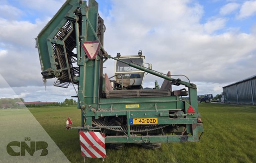 Foto van Rooimachine-Krakei