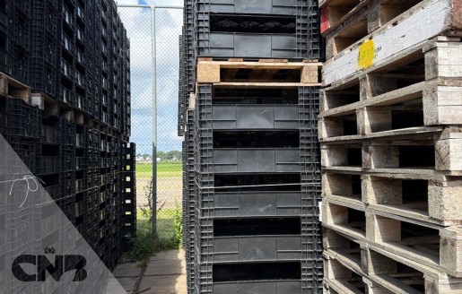 Foto van Broeibakken