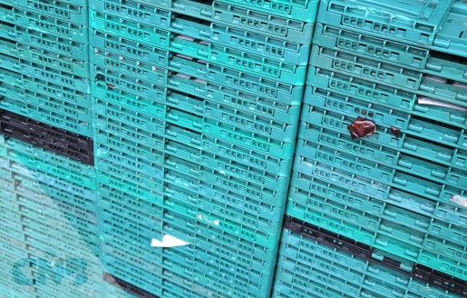 Foto van Klapkratten/Vouwkratten