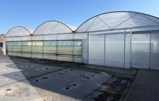 Foto van Foliekas-Rovero