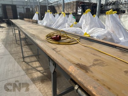 Transportband-Bercomex