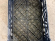 Foto van Tulpen exportkratten 60x40x18