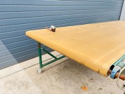 Foto van Transportband/Bloemenverzamelband-Potveer