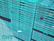 Foto van Klapkratten/Vouwkratten