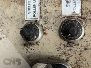 Foto van Narcissenbreker