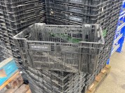 Foto van Nestbare leliekratten