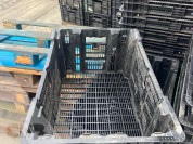 Foto van Nestbare leliekratten