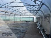 Foto van Foliekas-Rovero