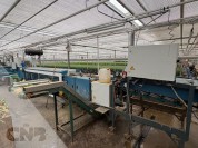 Foto van TulipStar XL-Havatec