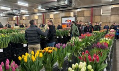 News image: CNB Marktbroeishow 2024 meer dan geslaagd!