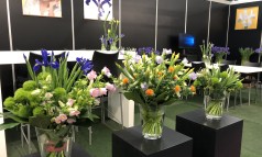 News image: Iris promotie op Trade Fair